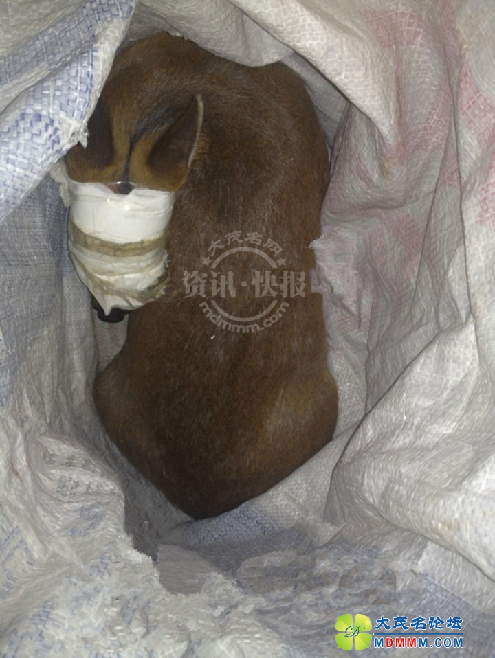 QQͼƬ20140317154842____________.jpg