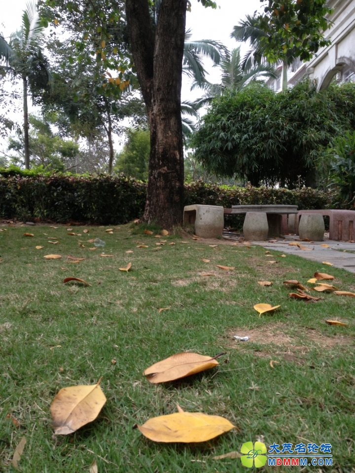 1110.jpg