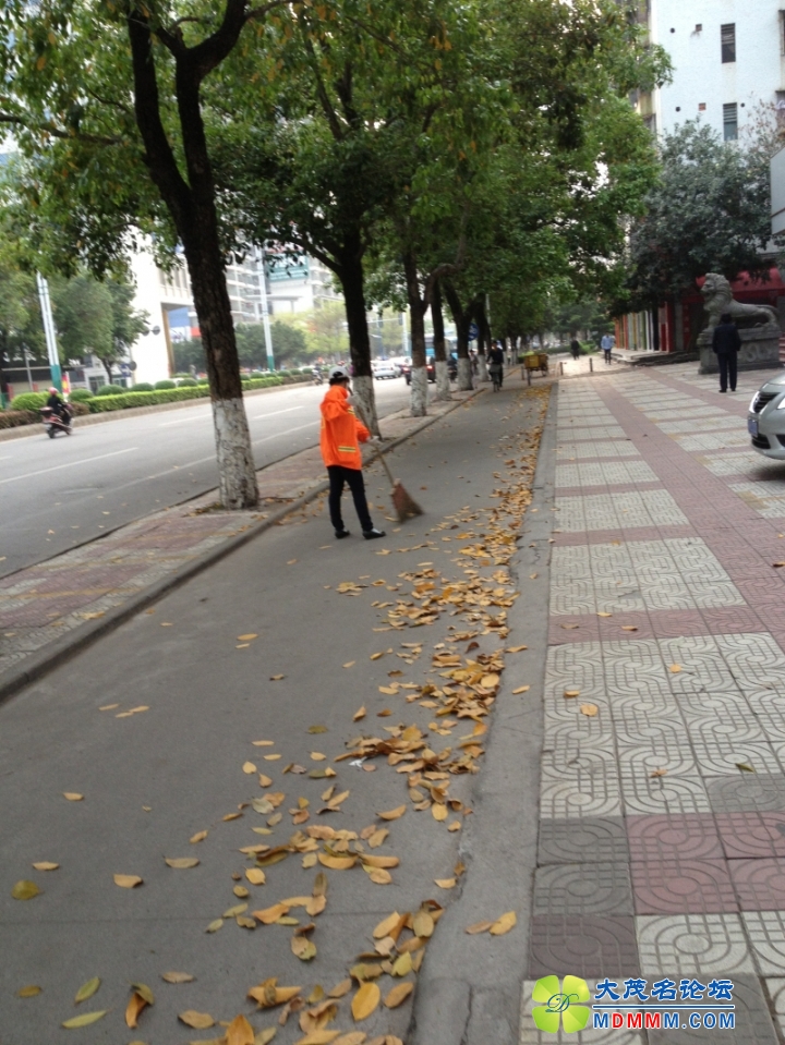 1133.jpg