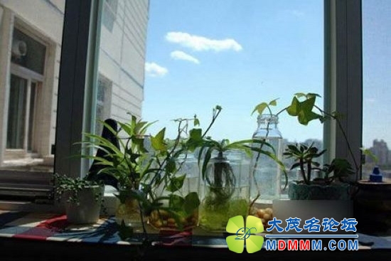 getimg.php?url=http%3A%2F%2Fimg0.pchouse.com.cn%2Fpchouse%2F1403%2F12%2F571852_nEO_IMG_13.jpg