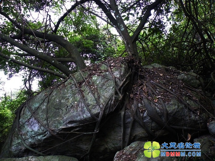 DSCF0629.JPG