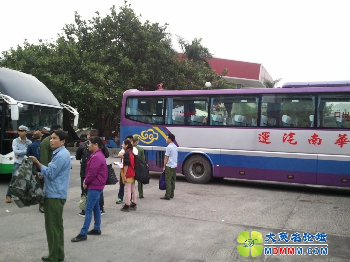 WP_003142.jpg