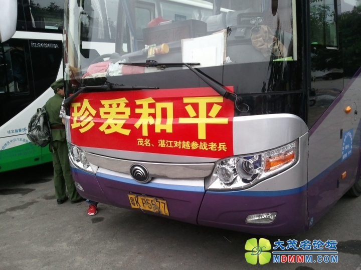 WP_003173.jpg