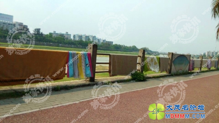 094927ibwu05vv55uwn5ry.jpg.thumb__.jpg