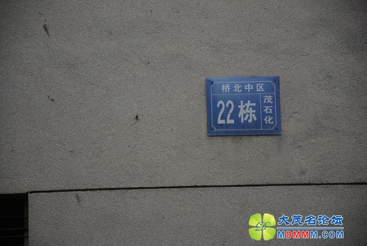 DSC_6032.jpg