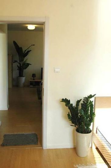 624951_nEO_IMG_1.jpg