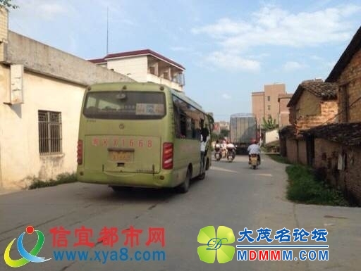 142053jzit2l8siipltmgs.jpg