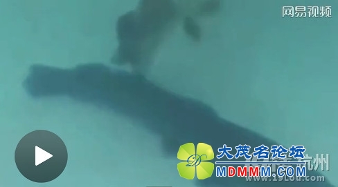 getimg.php?url=http%3A%2F%2Fatt2.citysbs.com%2Fhangzhou%2F2014%2F05%2F07%2F11%2Fmiddle_488x271-111917_14951399432757823_1d52de294329faf07f85de1045ebd841.jpg