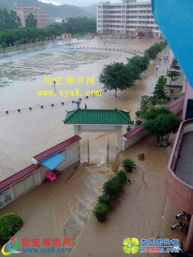 073437kt3gt8l7v4q8lhvt.jpg