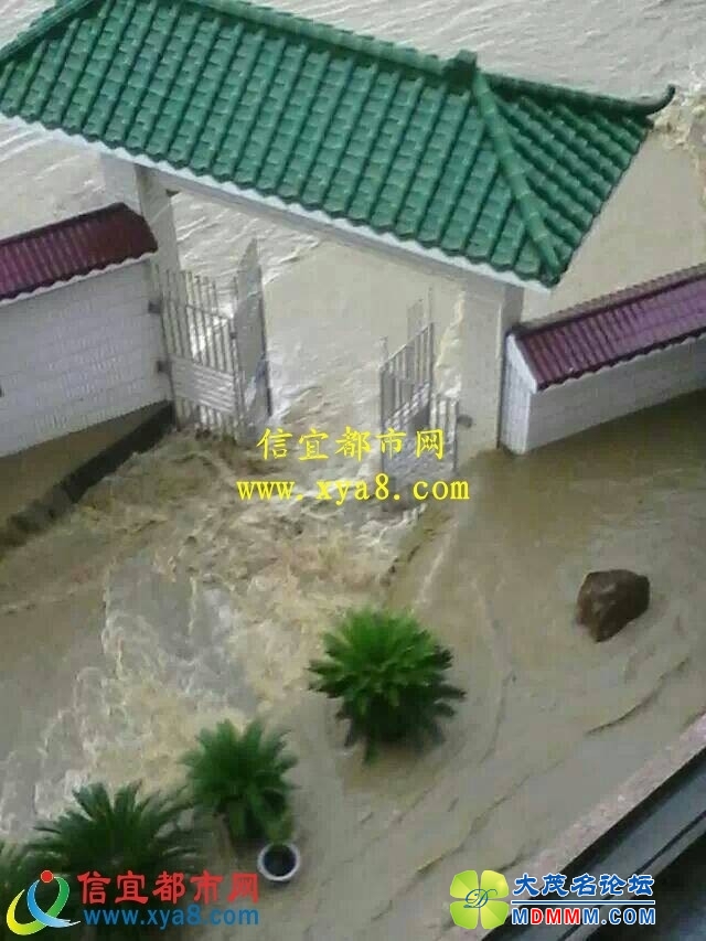 073442he2bax40zvweziv2.jpg
