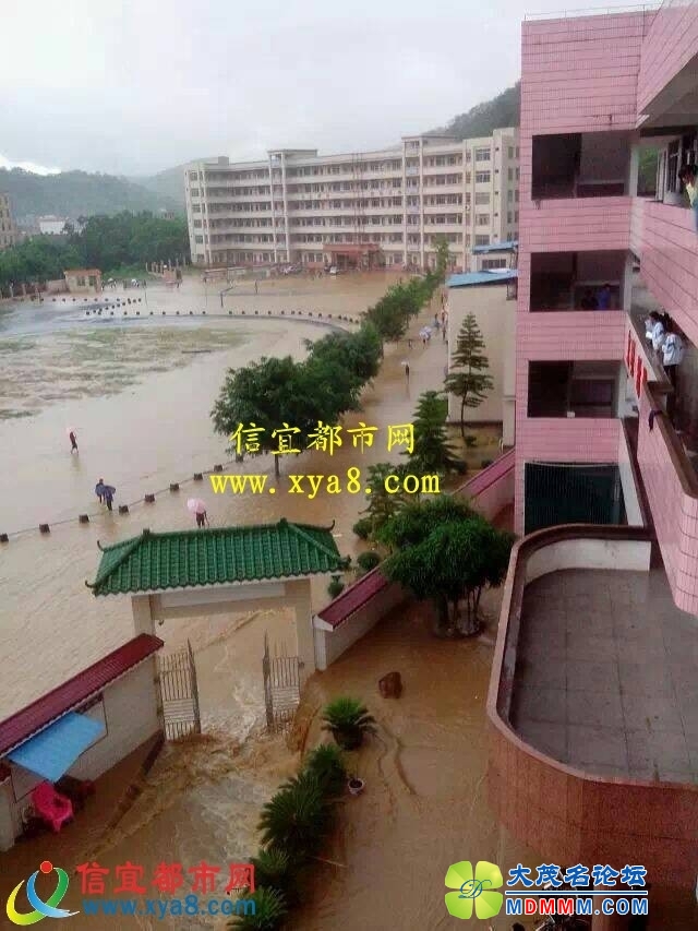 073726n54p35epp5czmdjz.jpg