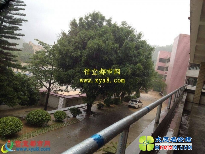 074055vzbwvwfvst4fg4g8.jpg