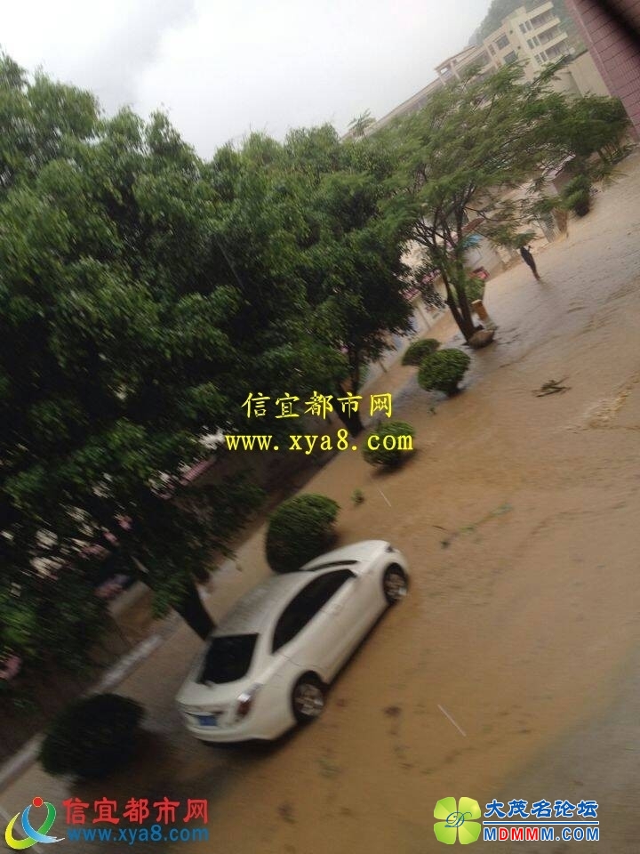 074253ysitj2ziniu6npff.jpg