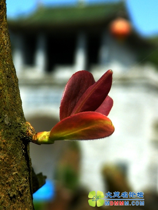 DSCF1445.JPG