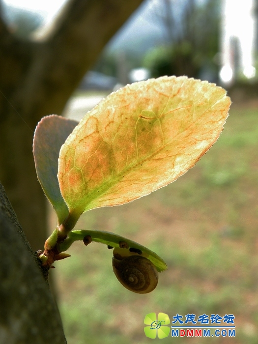 DSCF1432.JPG