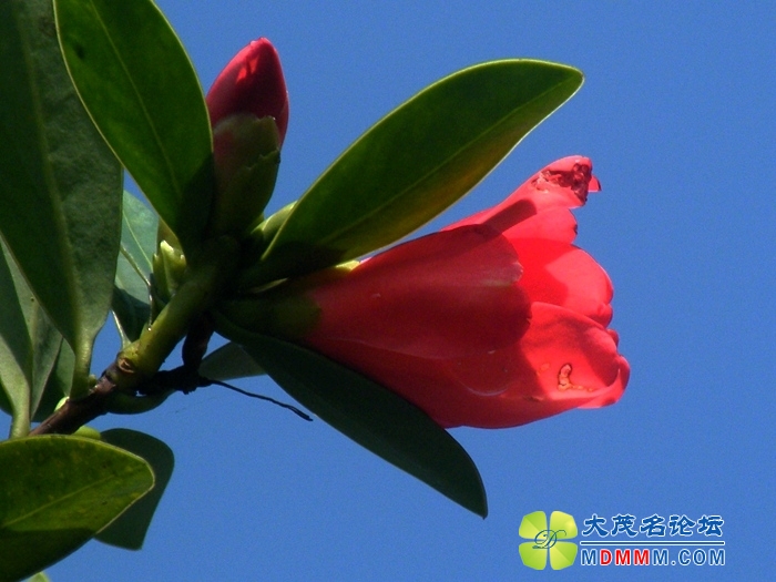 DSCF1451.JPG