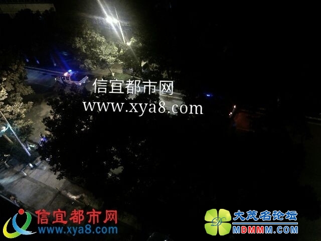 035326fm6dfq5qd42wzdd6.jpg