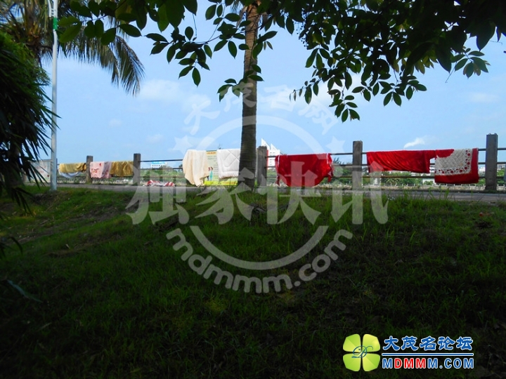 DSCN5656_.jpg