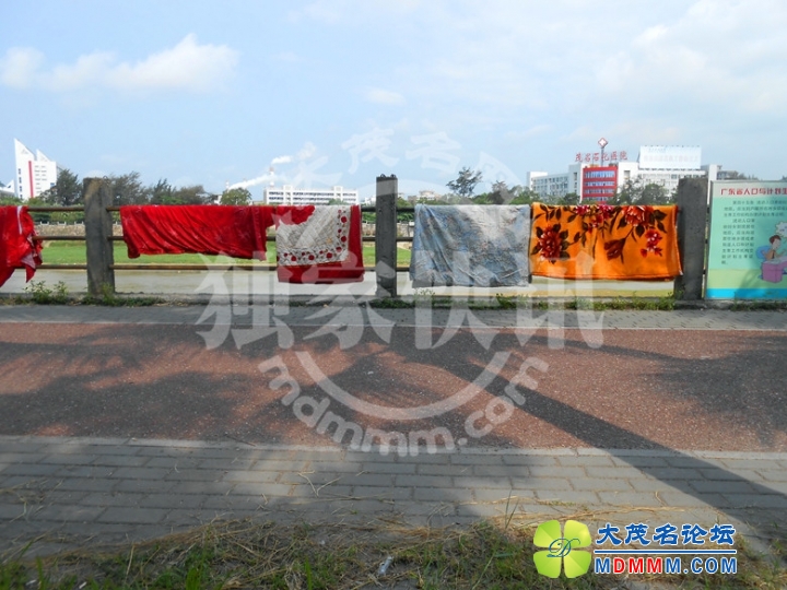 DSCN5657_.jpg