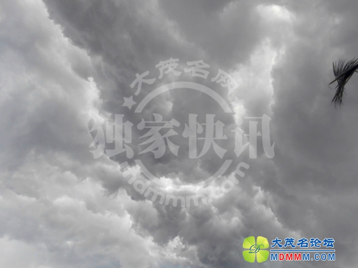 DSCN5846_.jpg