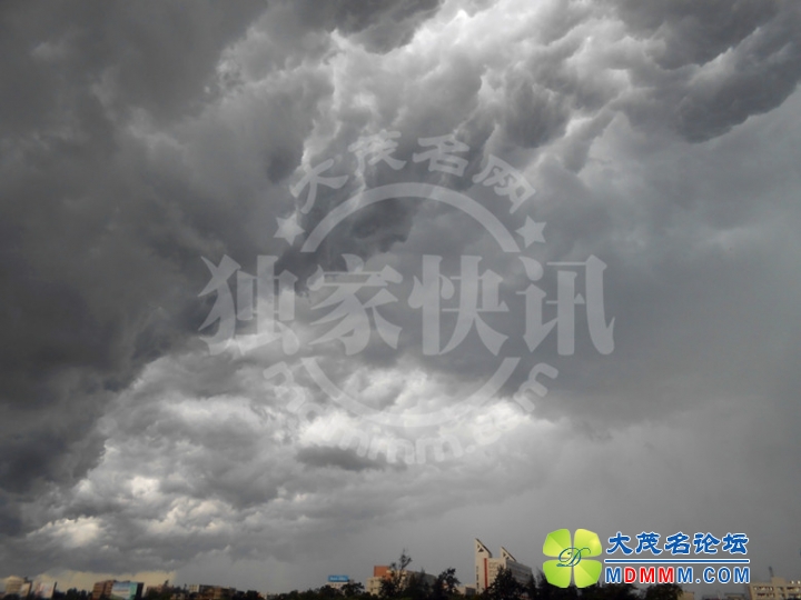 DSCN5848_.jpg
