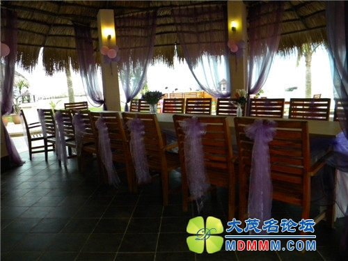 DSCN2382.jpg