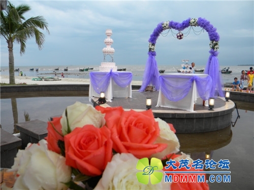 DSCN2393.jpg