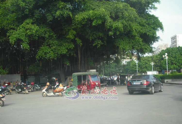 112235dr1yqli35b1n86cc.jpg
