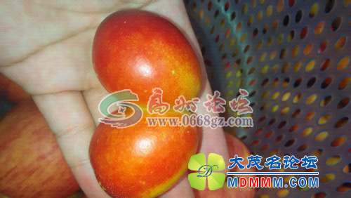 154631yd7a65fy1xldlymd.jpg