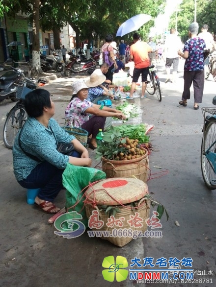 120549vxdm02f2y3odym55.jpg