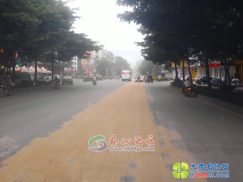 221701jh5elxh60x3zh2y5.jpg