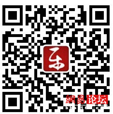 3128031416285725901.jpg