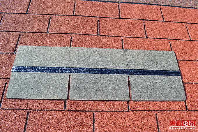 1605814742234529629.jpg