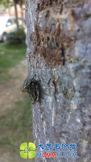 IMAG0030.jpg