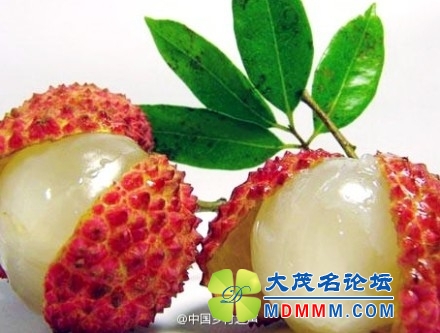 9fa92c79jw1ei0jg1jxgsj20cm09kgn4.jpg