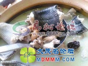 001415wiqd4q25v5rv2o2b.jpg