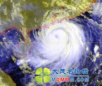 u=831417543,3049250230&amp;fm=23&amp;gp=0.jpg
