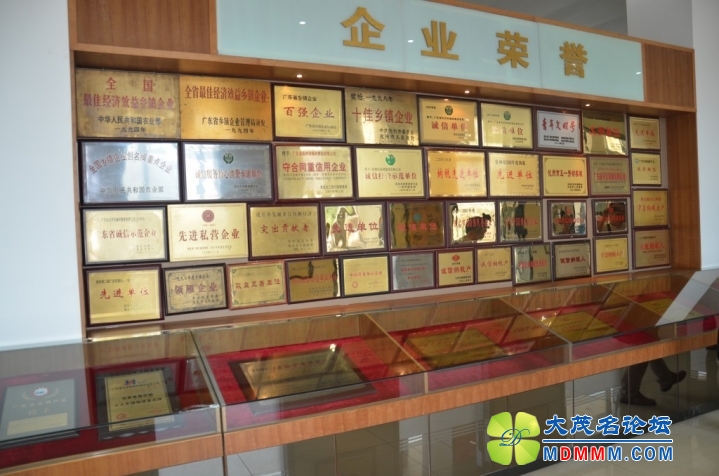 conew_dsc_0267[1].jpg