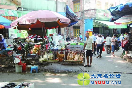 20140805105052594.jpg