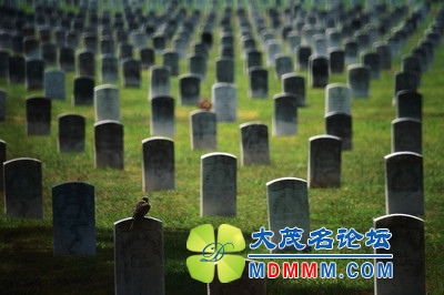 t010896abcdf9bd5673.jpg