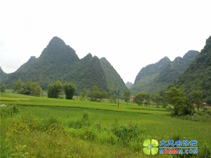 20140713_100714.jpg