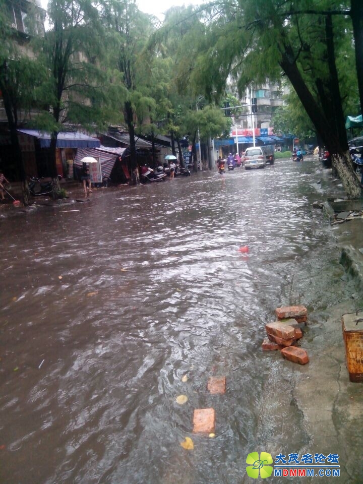 QQͼƬ20140819144256.jpg