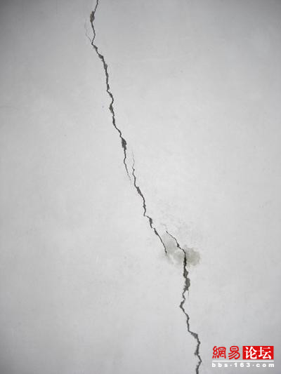 6619580068211758877.jpg