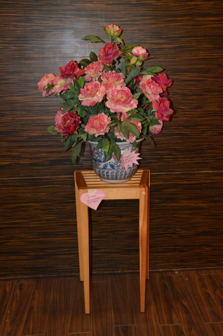 DSC_5231_༭.jpg