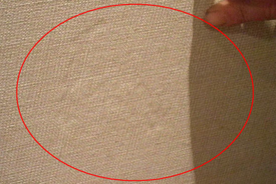 870512_1.jpg