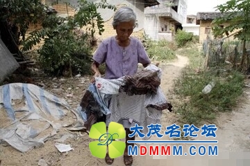 QQͼƬ20141030152107.jpg