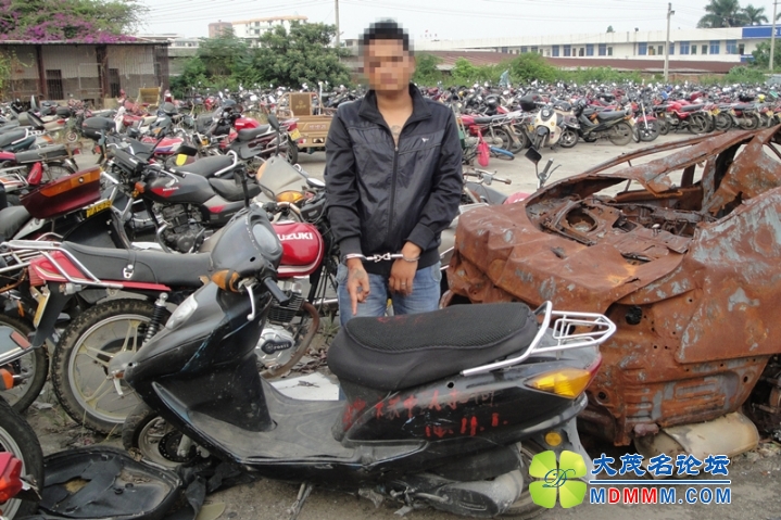 DSC00436.jpg