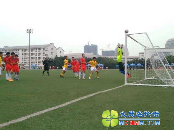 20141113050213100.jpg