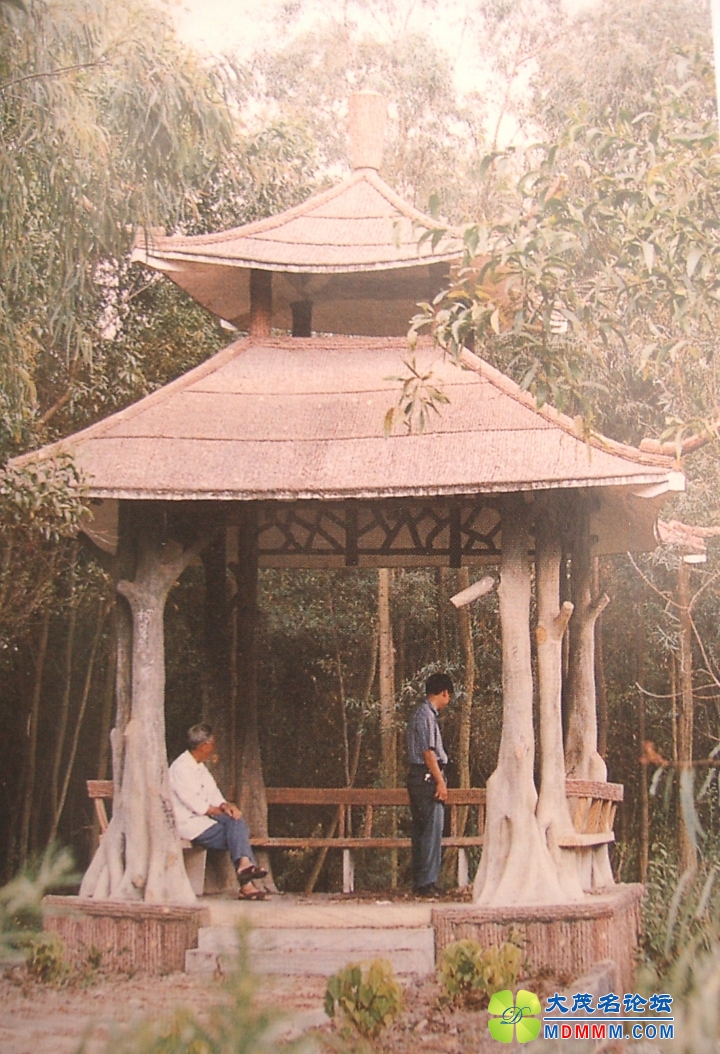 k 019.jpg