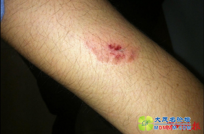 QQͼ20141203182853.jpg